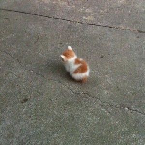 Meet your Posher, Julie